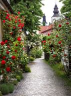 Фреска Прованская улочка с розами