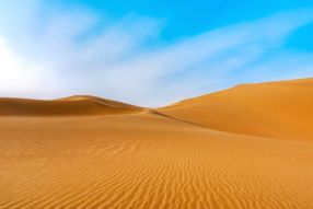 Фотообои Песчаные барханы